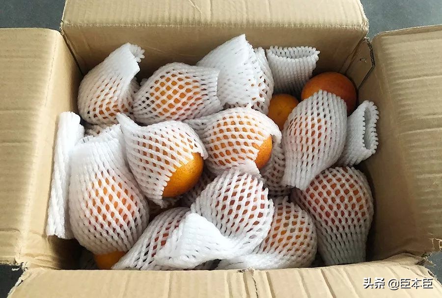 酸甜口的橙子适合怎么吃,鲜橙子怎么挑汁多的