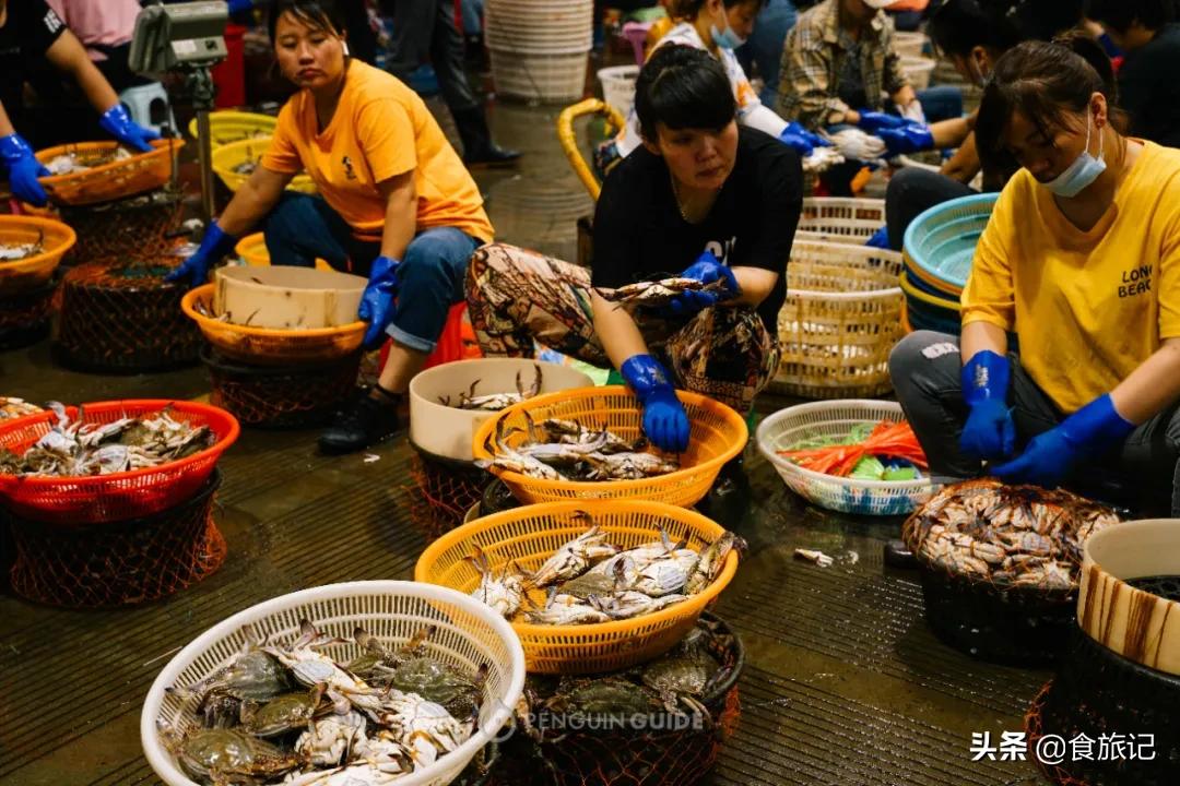 广州最大的海鲜水产批发市场,南京最大的水产批发市场在哪里