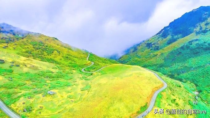 福鼎一日游学生攻略,福鼎两日自由行攻略