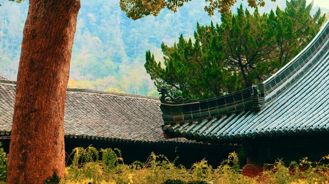浙江这座5*级A**寺院景区，让我这俗人第一次有了想要“出家”的冲动