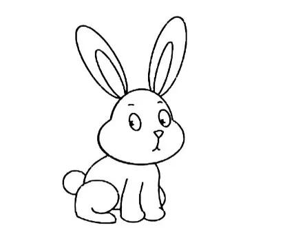 关于动物的冷知识大全素材库,关于动物冷知识大全书