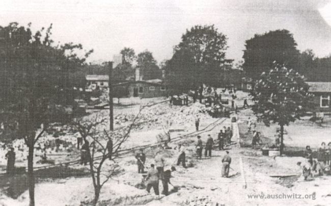 直面困苦，永不言弃！在首届奥斯威辛黑拳赛中夺冠的波兰拳王