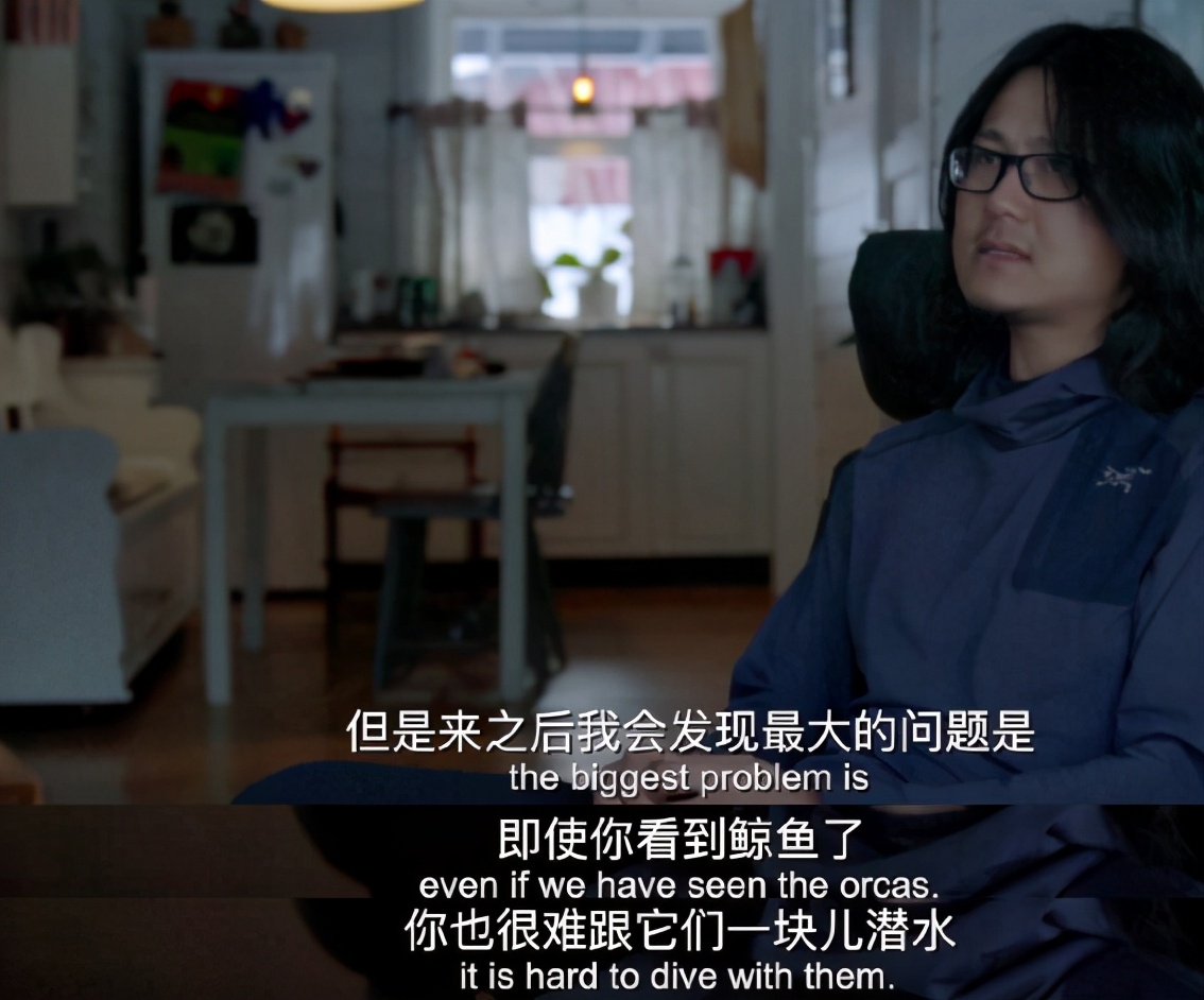 少年爆火,少年燃爆全网致敬