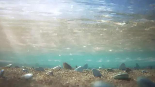 皮克斯动画短片dayandnight,陪孩子看的6部动画