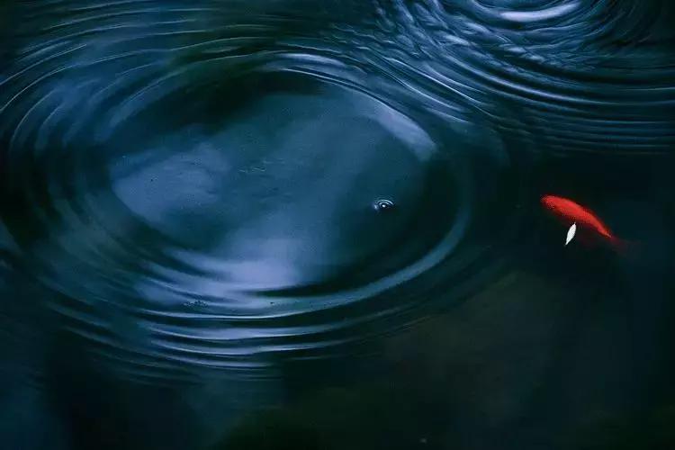 万事皆有对错唯有人心不可估量,凡事须有度完整版