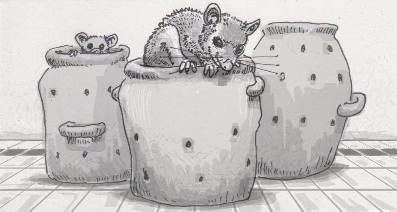 海狸尾巴与乌龟汤,海狸尾巴汤