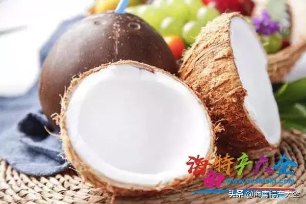 椰子在海南话有什么别的意思吗,椰子在海南的地位