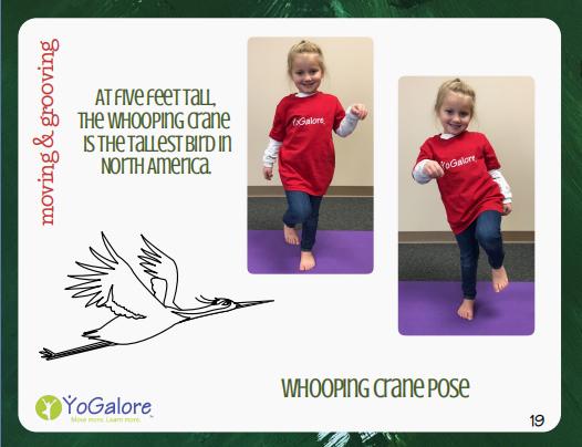 卡尔和爷爷,瑜伽卡和健身卡哪个好