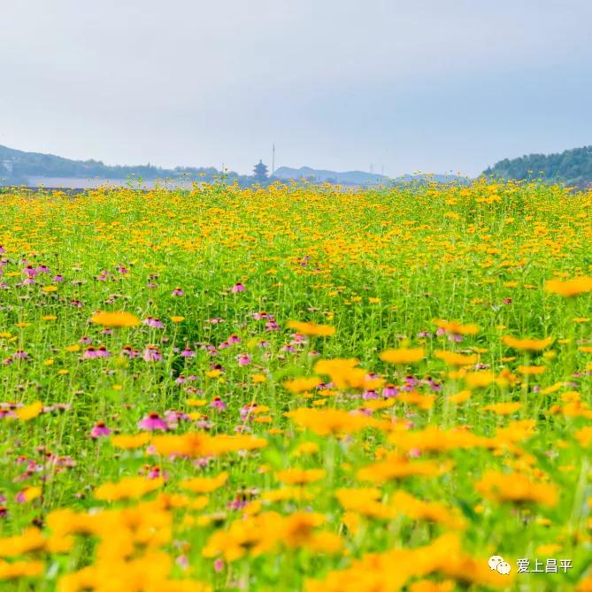 人间最美的旅游地,人间最美四月天去哪里玩