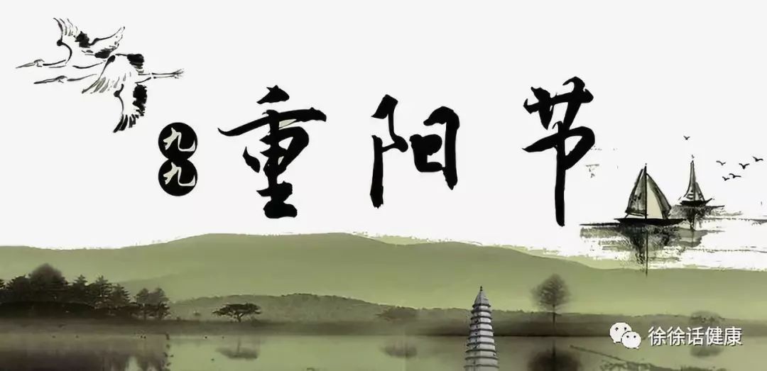 贡菊亳菊杭菊怀菊,毫菊滁菊贡菊杭菊谁的功效最强