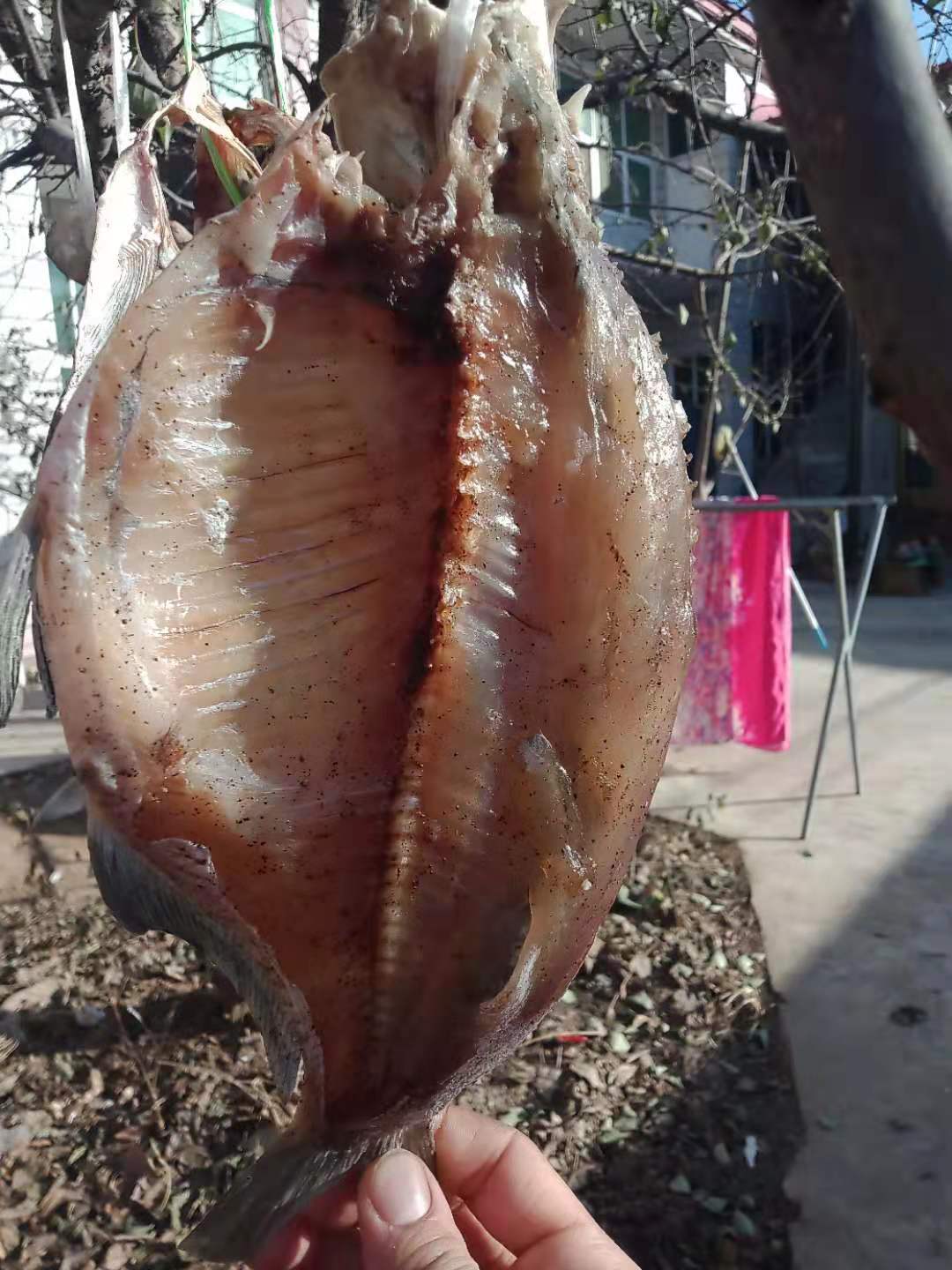 风干好的五香鱼怎么做好吃,风干鱼制作全过程教程