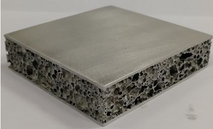 超牛年轻科学家,四川超牛科研填补世界空白