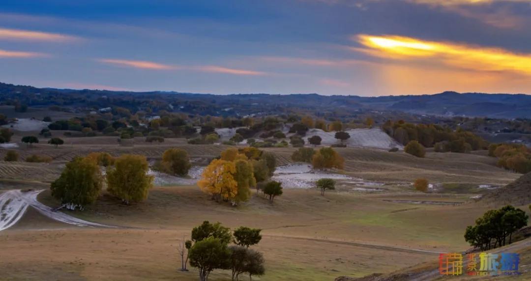 一到秋天，这里就美成了金色天堂！全世界独一份！