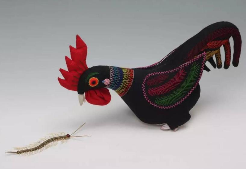 五毒之一的蜈蚣为什么怕公鸡,为什么五毒之一的蜈蚣会害怕公鸡