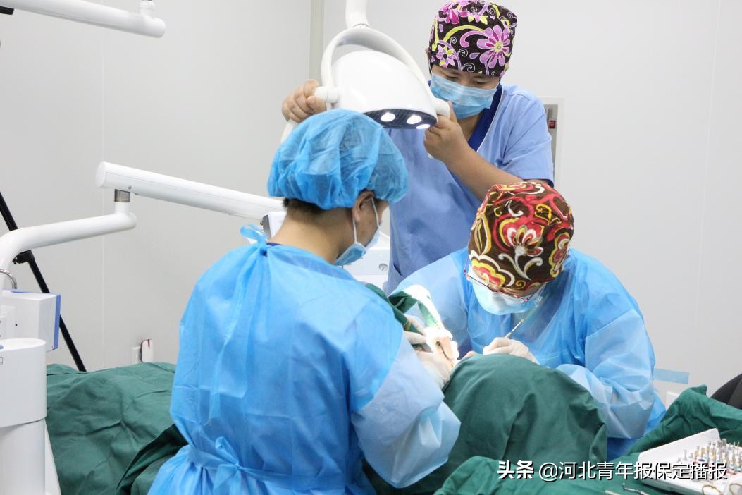 震撼!103家参展品牌齐聚本报2019保定春博会