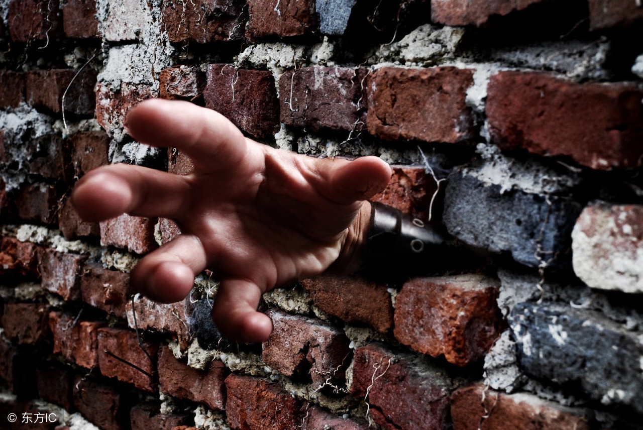 虫子离奇死亡,脑袋里有虫子恐怖故事