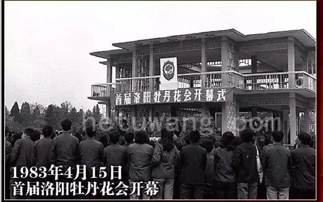 洛阳古城历史照片,历史的记忆完整视频