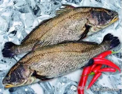 常见的海鲜哪些好吃,比较有营养价值的海鲜