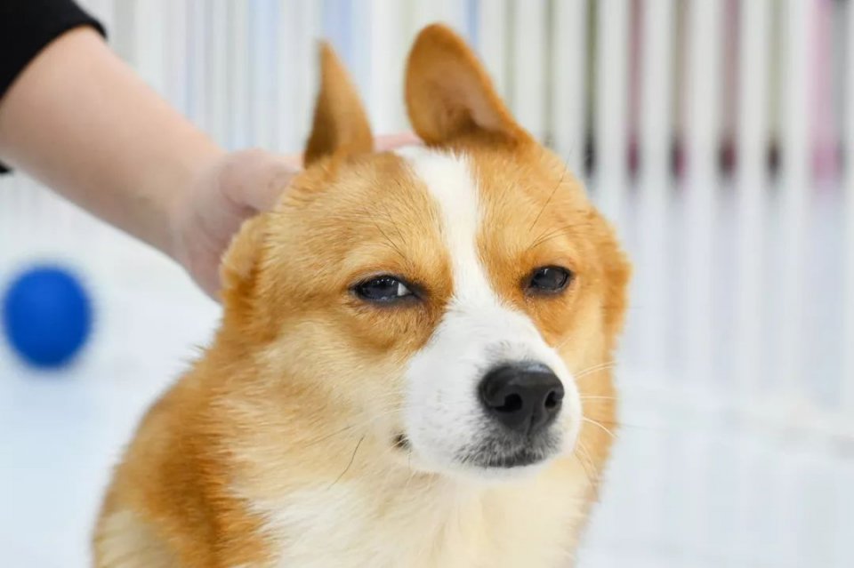 专门摸屁股的店，任摸