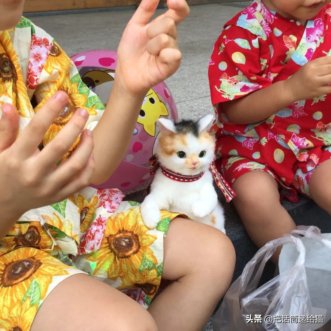 日本网红猫包,日本网红猫咪包