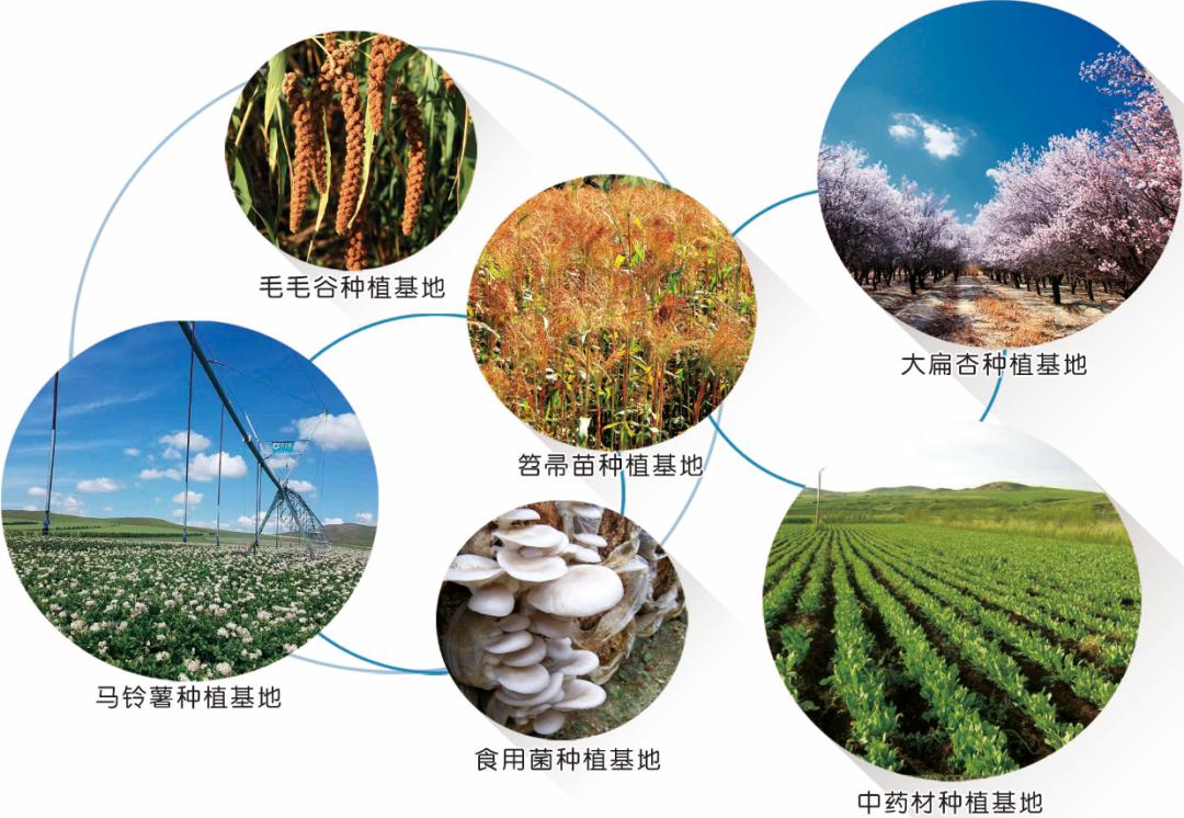 投资兴业沃土蕴藏无限商机——了解一下巴林左旗