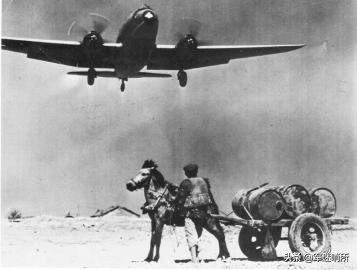 驼峰航线坠毁多少架飞机,驼峰航线牺牲了多少人