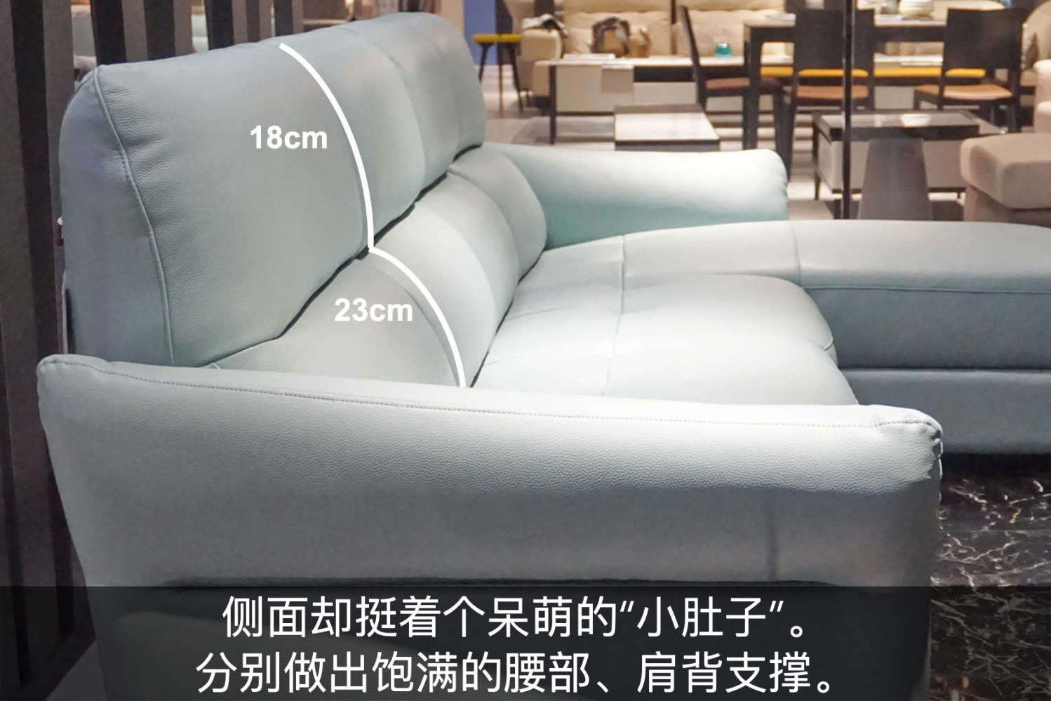 功能沙发高级感,格调沙发小沙发