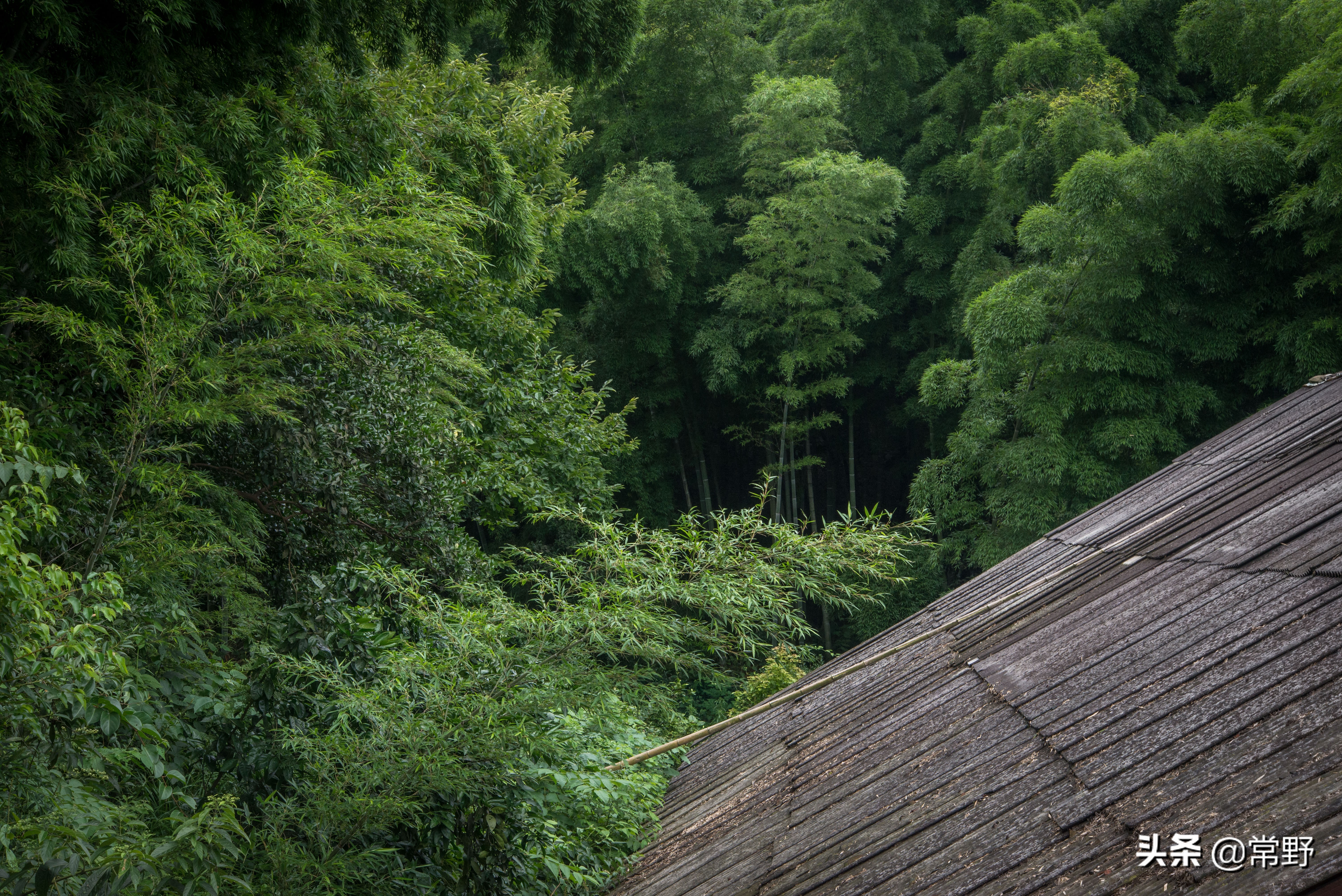 长沙谷山为什么叫谷山,长沙郊野公园