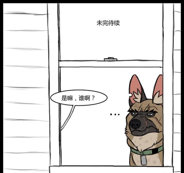 大狼狗和小奶猫,大狼狗小奶猫和平精英