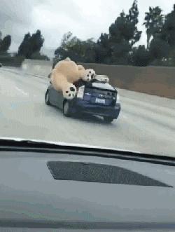 不联系的同学借钱怎么高情商回复,怎么回复借钱的同学