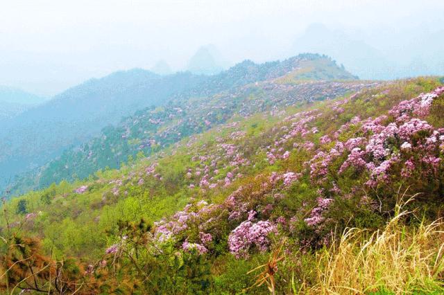 鲁山最穷的一个地方,鲁山真的好风景
