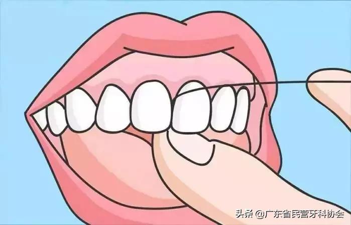 如何正确使用牙线清理牙齿,牙线的正确使用方法丁香医生