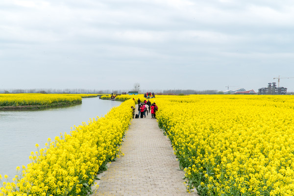 踏春赏花拍美景,踏春赏花逛湖