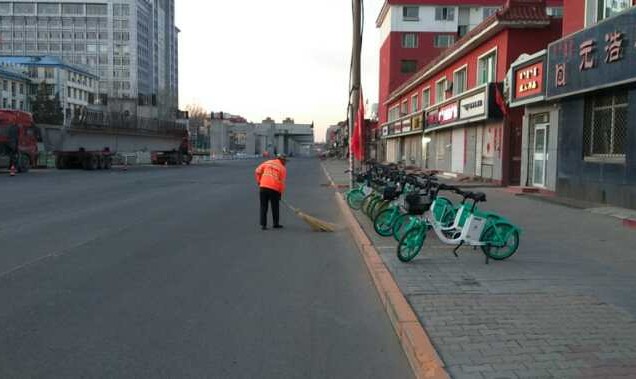 “城市黄玫瑰绽放新英姿”