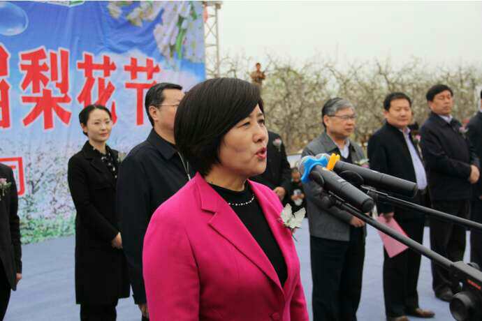 宁陵第十八届梨花节开幕,宁陵今年梨花节在什么地方举行