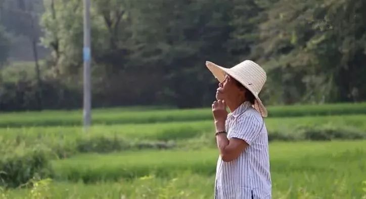 91岁老奶奶打造一座千年瓷宫,80岁老人打造千年瓷宫在哪