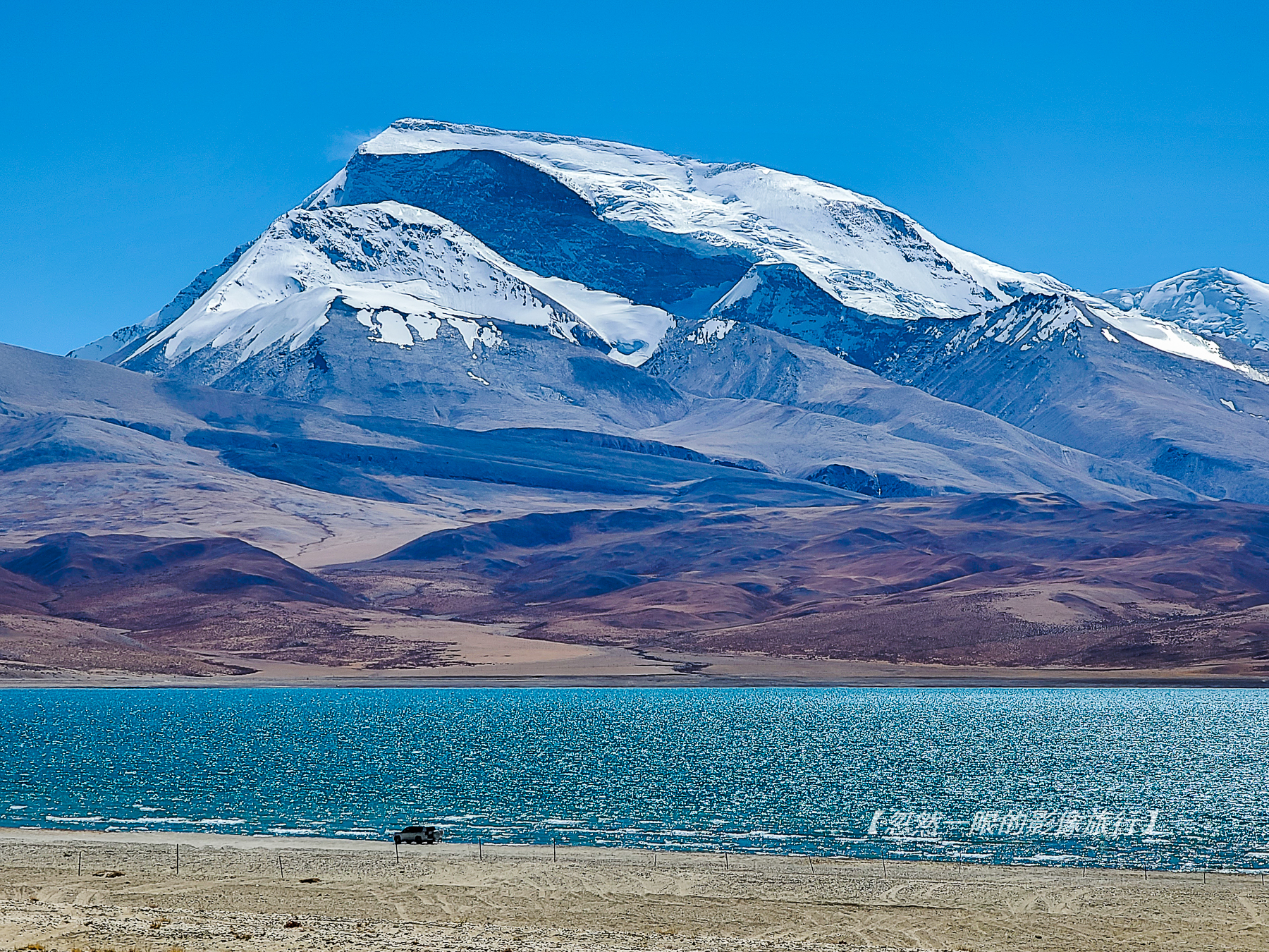 阿里无人区野狼出没,阿里无人区狐狸