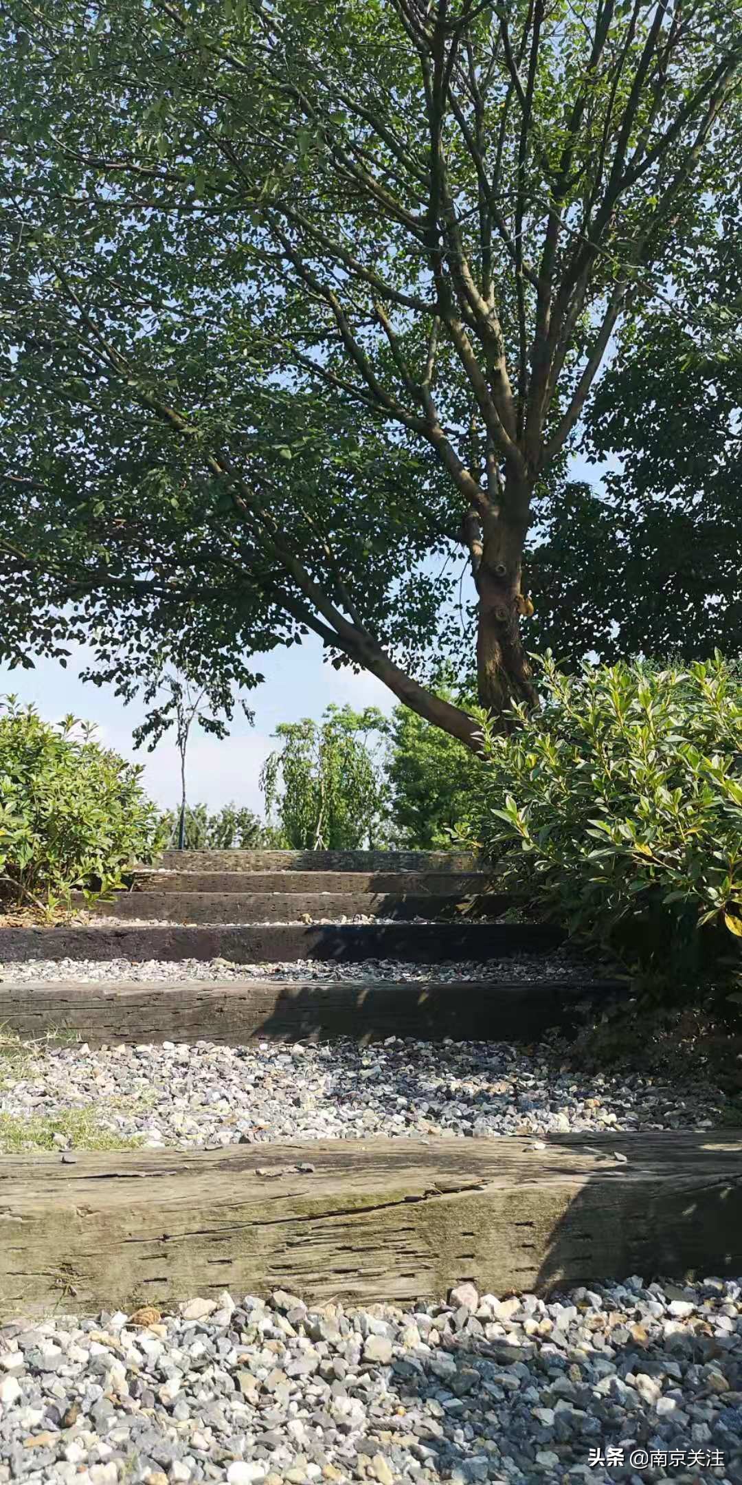 南京五一必打卡花海推荐,南京秋季网红打卡景点