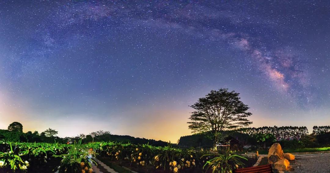 漳州夜游推荐景点攻略,夜太美公园美景