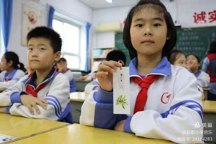 中医进校园活动中医知识宣讲,中医养生与保健知识课堂进社区