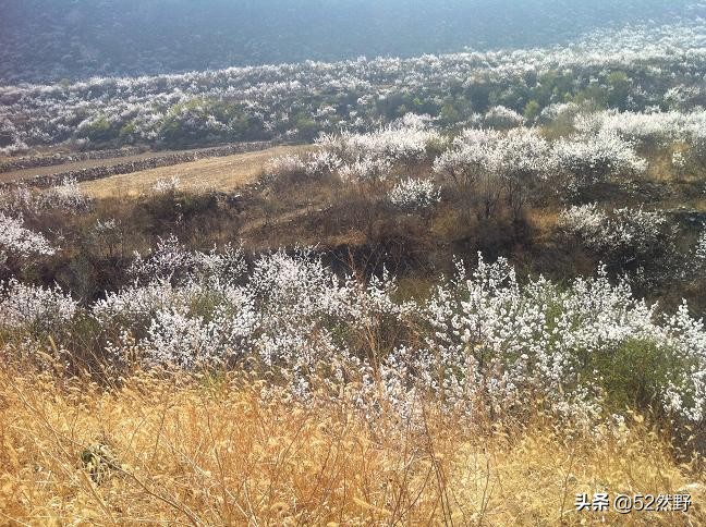 桑干河原唱完整版,桑干河诗句