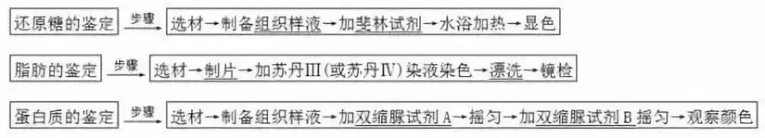 河南高中会考生物必背知识点,生物显微镜实验视频高中