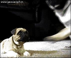 国足守门员喝水搞笑gif动图,守门员搞笑动图