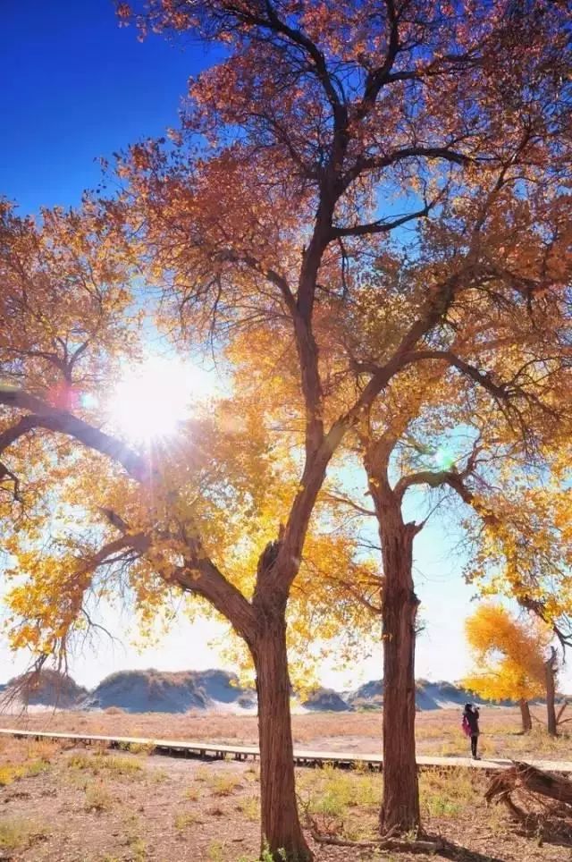 下半年旅行最佳时间表,2023最佳旅游时间表