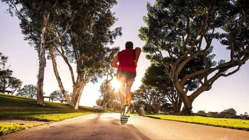 高三优秀作文通用15篇,高三高考优秀作文800字5篇