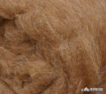 50种面料知识每天分享一集,服装面料采购新手入门必备知识