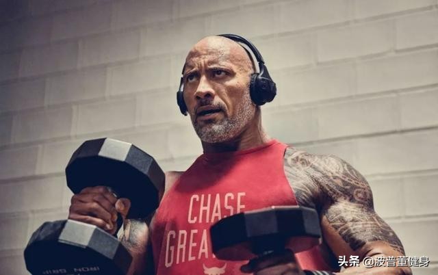 如何有效增手臂围度,新手增肌如何快速增大纬度