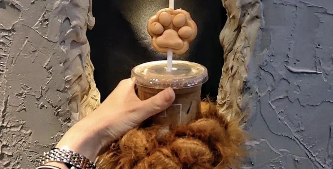 破防了！沈阳这10家绝美新店堪称颜狗天堂