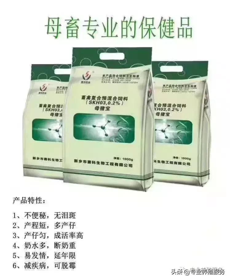 母猪配种专业讲解！