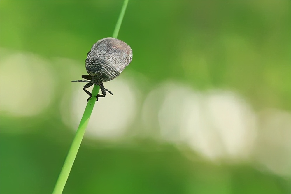 有城府的人一般说话较谨慎,有城府的人懂得隐藏这三个秘密